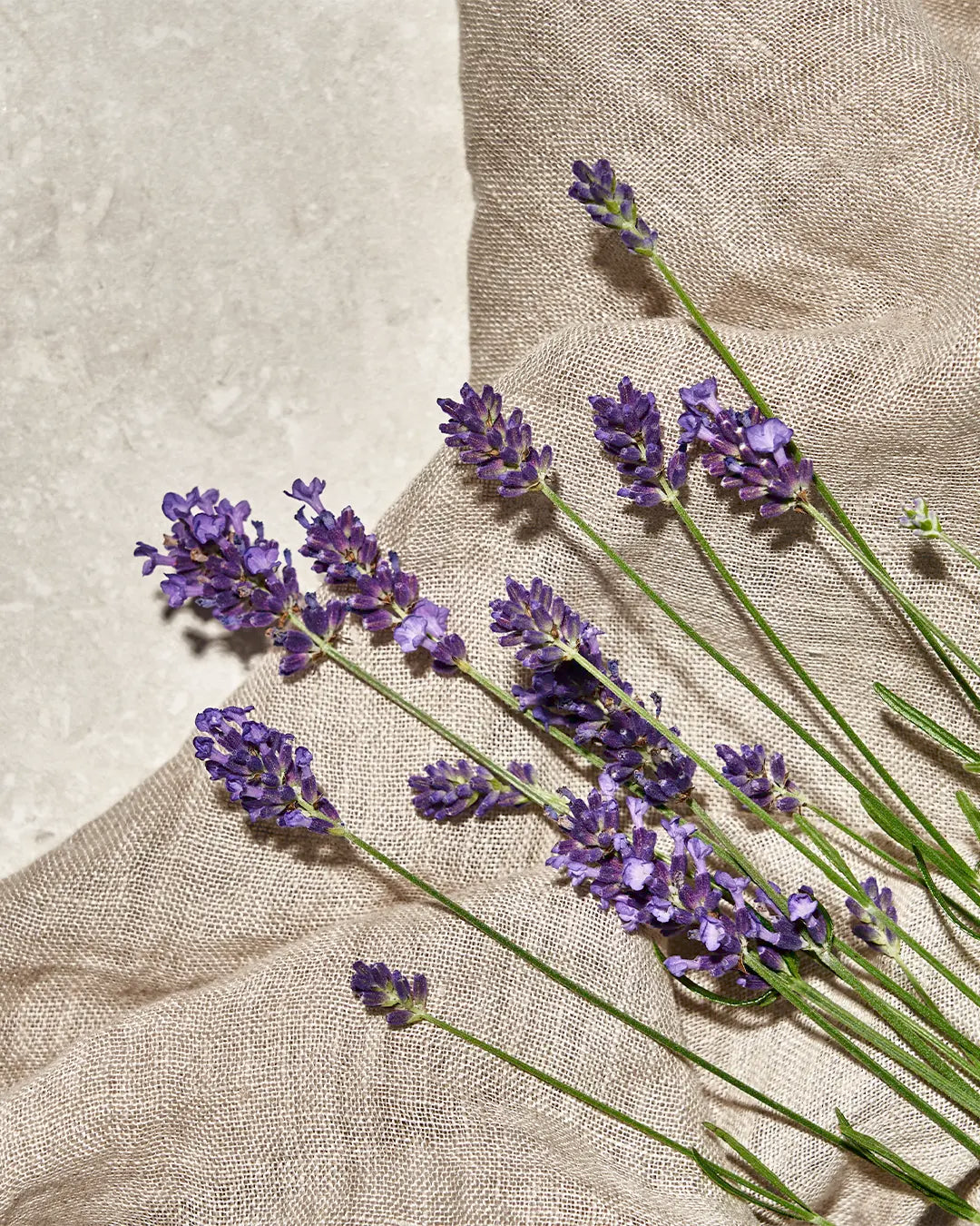 Guide: Med eller uden parfume?